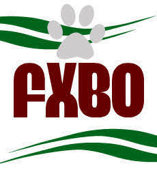 FXBO's avatar